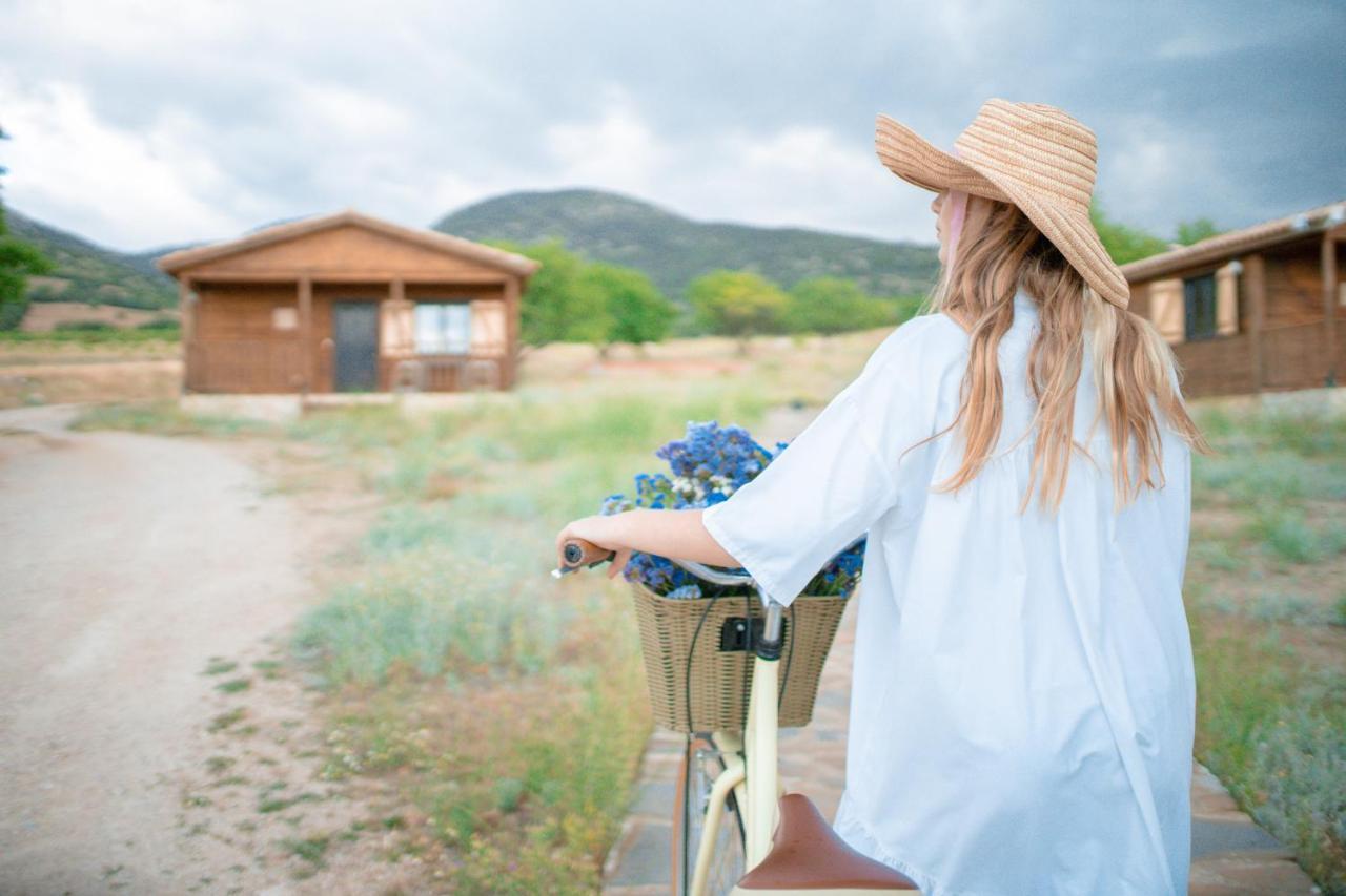 Aldea Los Odres - Cabanas De Madera De 1ª Con Piscina Privada Y Bbq En La Puerta Moratalla  Eksteriør bilde