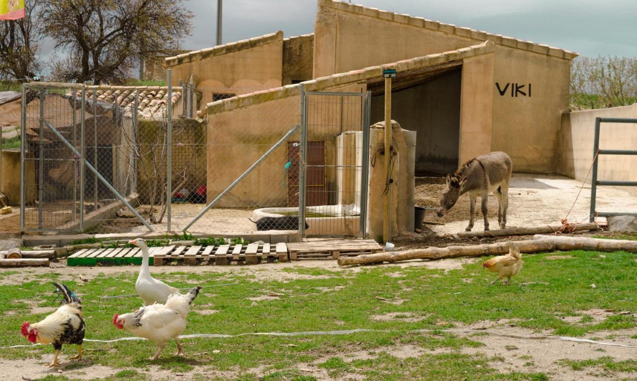 Aldea Los Odres - Cabanas De Madera De 1ª Con Piscina Privada Y Bbq En La Puerta Moratalla  Eksteriør bilde